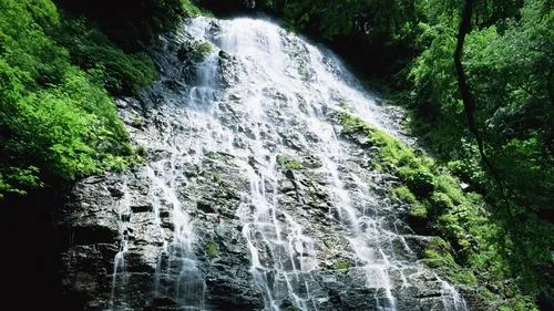 节能精密自动化